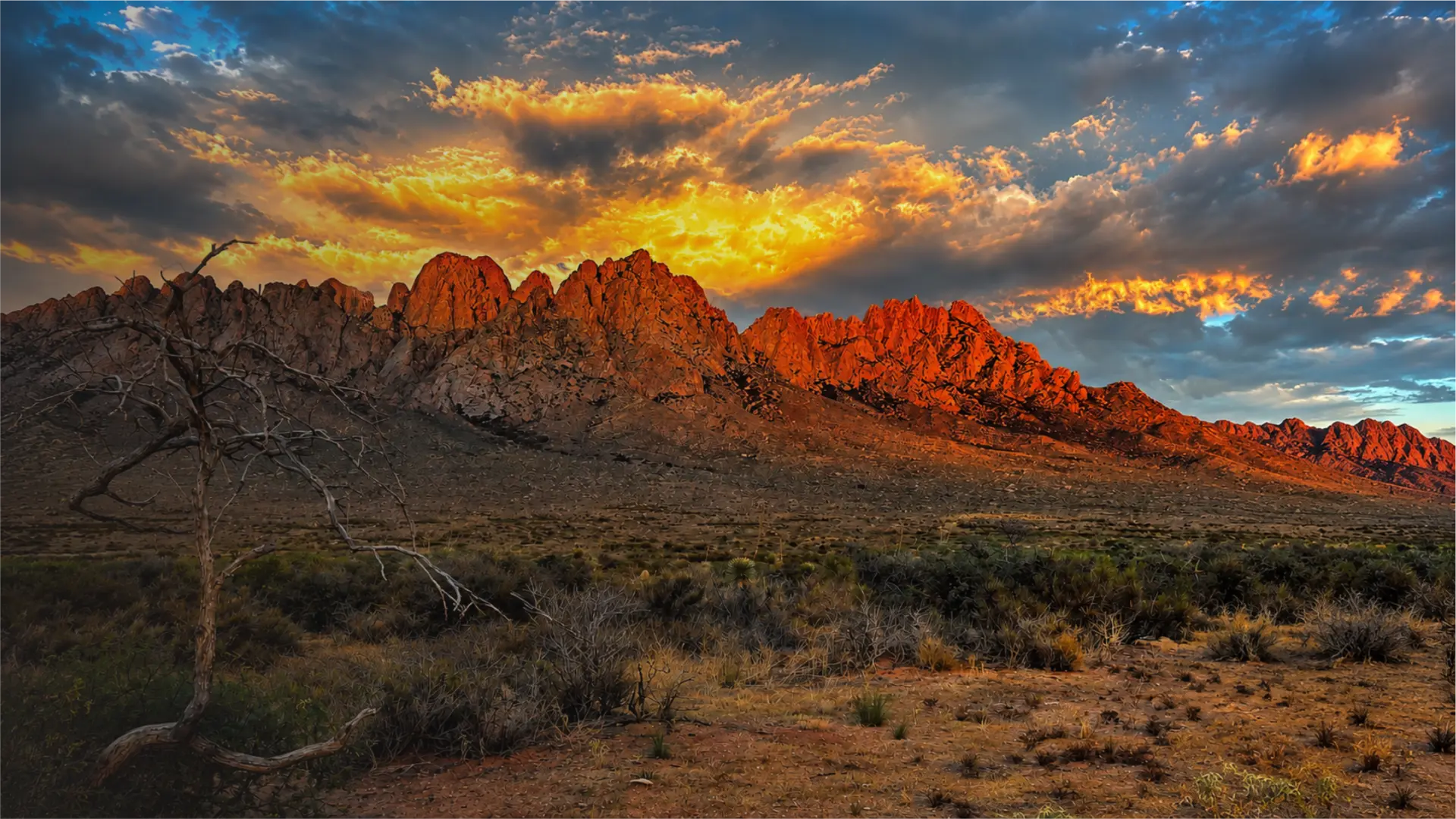 The Organ Mountains at sunset above the Mesilla Valley near Las Cruces, New Mexico